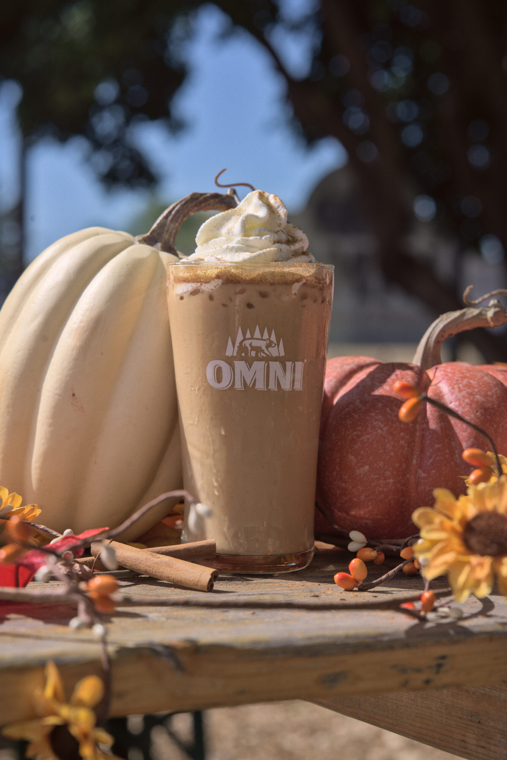 Our pumpkin spice latte on a picnic table, surrounded by pumpkins and fall decor.